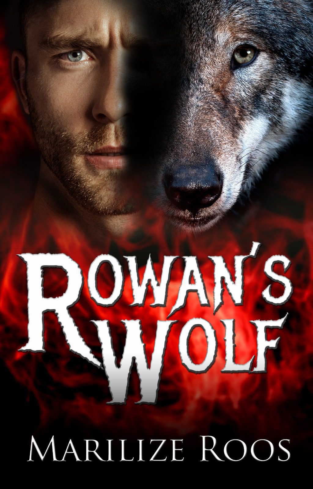 Romance Writers South Africa Member Book